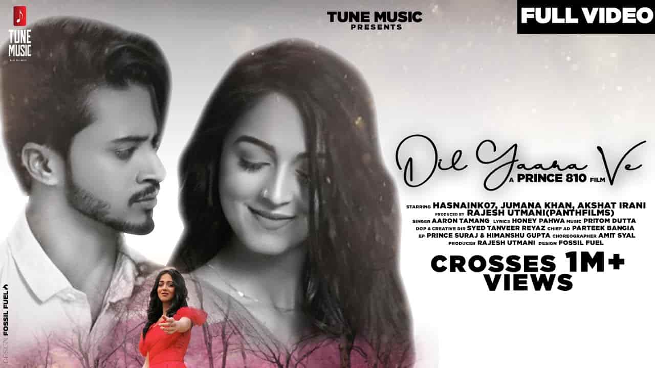 Dil Yaara Ve Lyrics - Aaron Tamang Dil Yaara Ve Lyrics