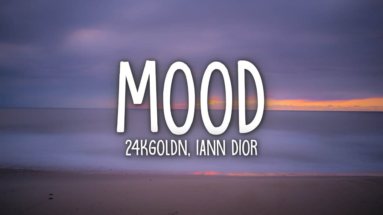 WHY YOU ALWAYS IN A MOOD LYRICS HOAXXX 24kGoldn amp Iann Dior 