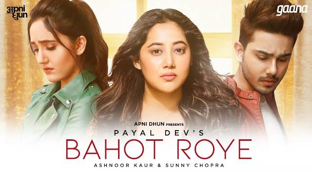 BAHOT ROYE LYRICS - Payal Dev